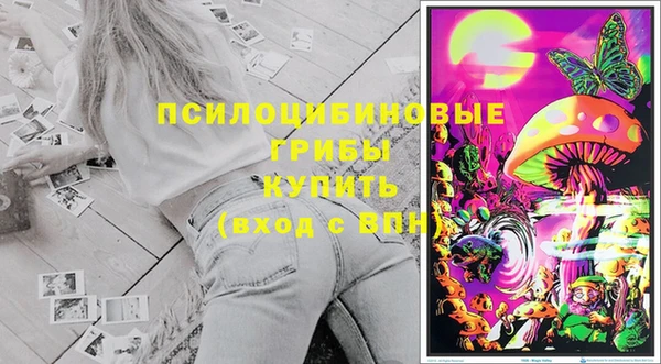 крисы Армянск