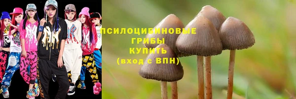 стафф Аркадак