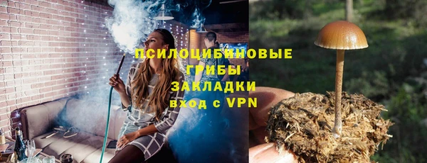 крисы Арсеньев