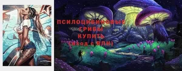 метамфетамин Алексеевка