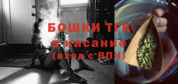крисы Армянск