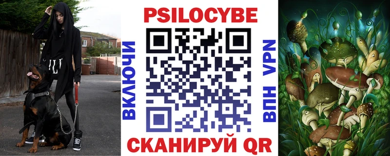 Псилоцибиновые грибы мицелий  Купить закладки  Буй 