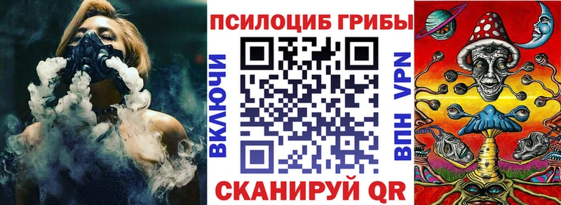 Псилоцибиновые грибы Psilocybe Буй